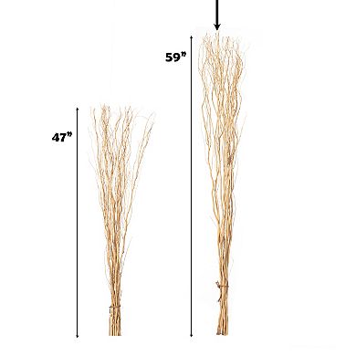 12 Pcs Natural Decorative Dry Branches Authentic Willow Sticks For Home Decoration