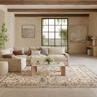 Nourison Pardis Medallion Vintage Indoor Rug