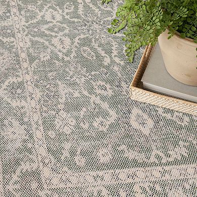 Nourison Desert Mirage Vintage Indoor Area Rug