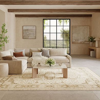 Nourison Pardis Vintage Indoor Rug