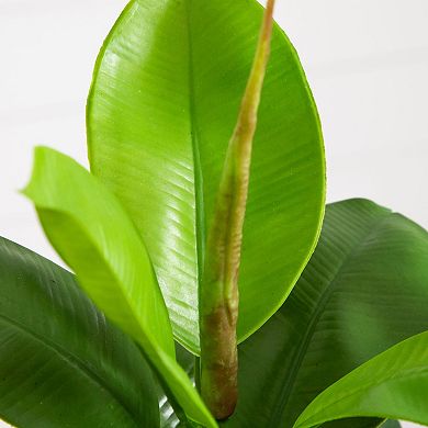 nearly natural Artificial Fiddle Plant in White Pot