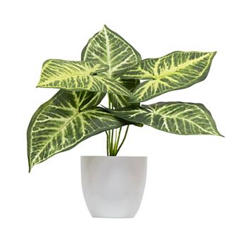nearly natural Artificial Variegated Greenery Table Decor