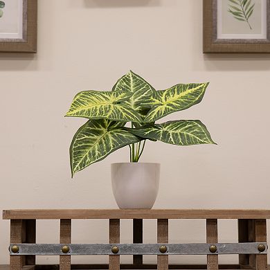 nearly natural Artificial Variegated Greenery Table Decor
