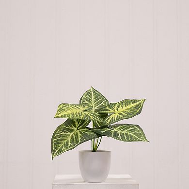 nearly natural Artificial Variegated Greenery Table Decor