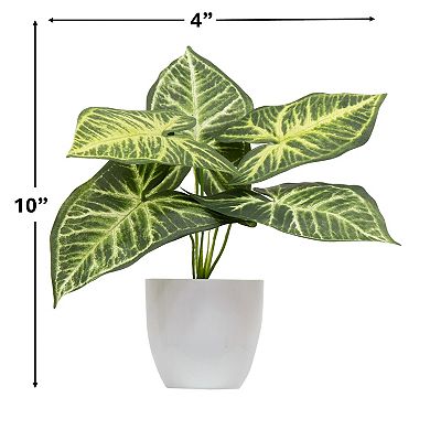 nearly natural Artificial Variegated Greenery Table Decor