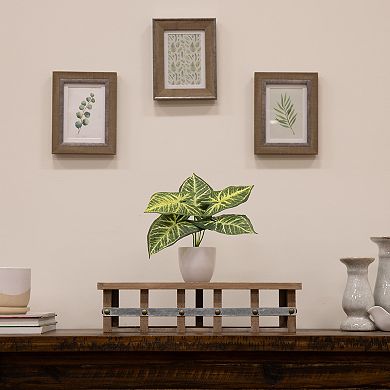 nearly natural Artificial Variegated Greenery Table Decor