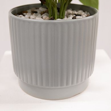 nearly natural Artificial Rose Plant in Decorative Pot