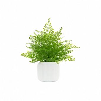 Nearly Natural Artificial 24 Inch Maiden Hair Fern Table Decor