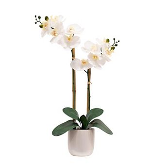 nearly natural 26-Inch Artificial Two Stem Orchid Ceramic Pot Decor