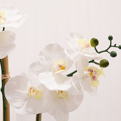 nearly natural 26-Inch Artificial Two Stem Orchid Ceramic Pot Decor