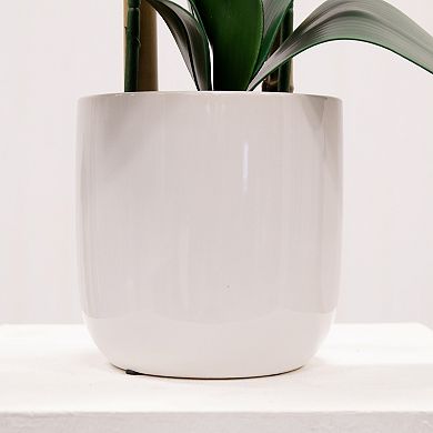 nearly natural 26-Inch Artificial Two Stem Orchid Ceramic Pot Decor
