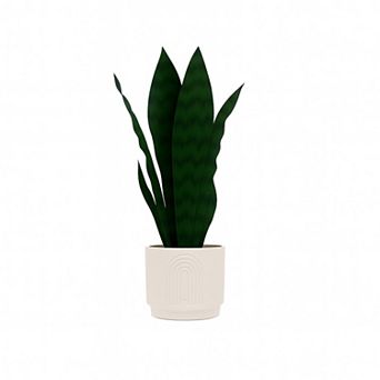 nearly natural Artificial Snake Grass Arrangement Ceramic Pot