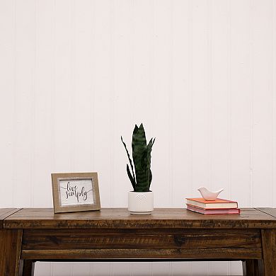 nearly natural Artificial Snake Grass Arrangement Ceramic Pot