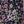 Floral Purple Ivory