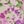 Mineral Blush Floral