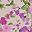 Mineral Blush Floral