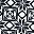 Ivory Black Snow
