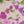 Mineral Blush Floral