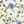 Blue Allover Floral