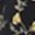 Gray Blue Blacks