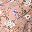 Pink Beige