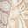 Beige White