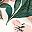 Green White