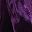 Purple Red
