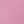 Carnation Pink