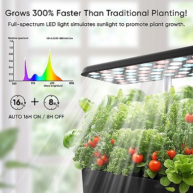 Indoor Hydroponic Growing System