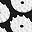 Black White