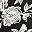 Blkfloral