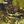 Olive Camo