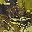 Olive Camo
