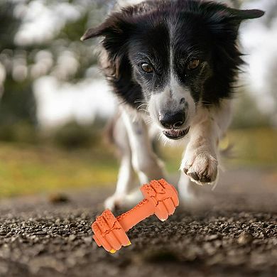 Dog Chew Toys for Aggressive Chewers Tough Durable Indestructible Dumbbell Toy for Large Medium Dogs