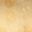 Gold Tone