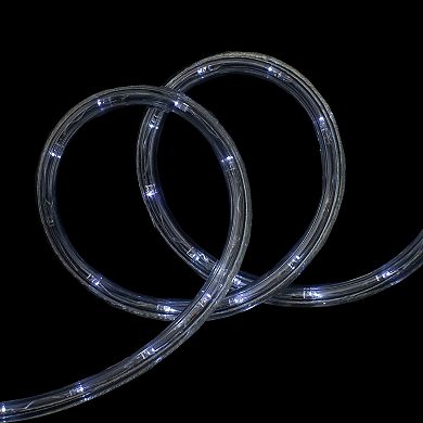 Hofert 19-ft. LED Twinkle Christmas Rope Lights