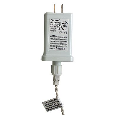 Hofert 8-ft. LED Multi-Function Curtain Christmas Lights