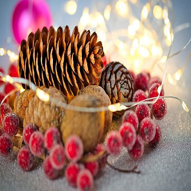 Hofert 8-ft. LED Multi-Function Curtain Christmas Lights