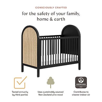Babyletto Bondi Cane 3-in-1 Convertible Crib with Toddler Bed Conversion Kit