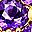 Gold Tone Purple