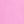 Aster Pink