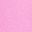 Aster Pink