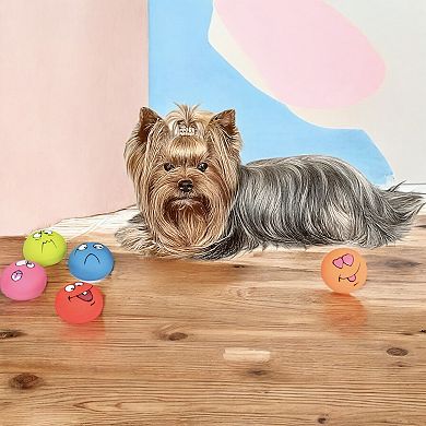 Pet Squeaky Latex Toy Set with Funny Faces Durable BPA-Free Design for Small and Medium Dogs