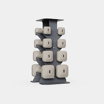 WeGym SafeGrip Dumbbells Lower Set with Dark Rack - 2, 3, 5, 8 lbs