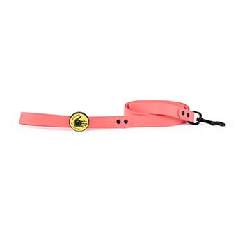 Body Glove Waterproof Pet Leash