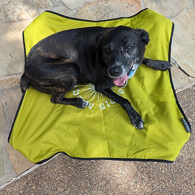 Body Glove Fold & Go Portable Pet Cot