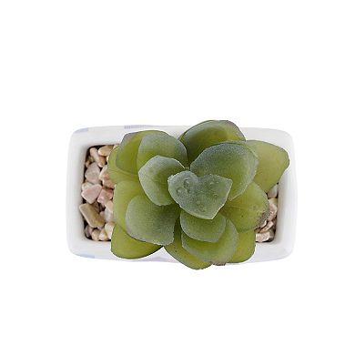 Celebrate Together™ Americana Star Succulent Sitabout Table Decor