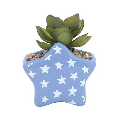 Celebrate Together™ Americana Star Succulent Sitabout Table Decor