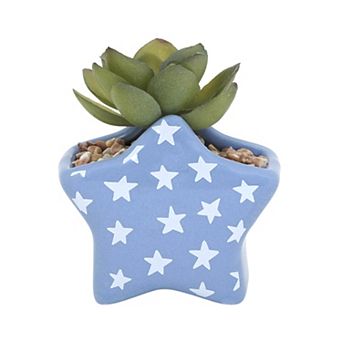 Celebrate Together™ Americana Star Succulent Table Decor